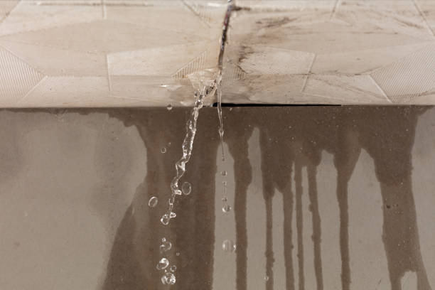 Professional Water Damage Repair technician working in Loyal, OK